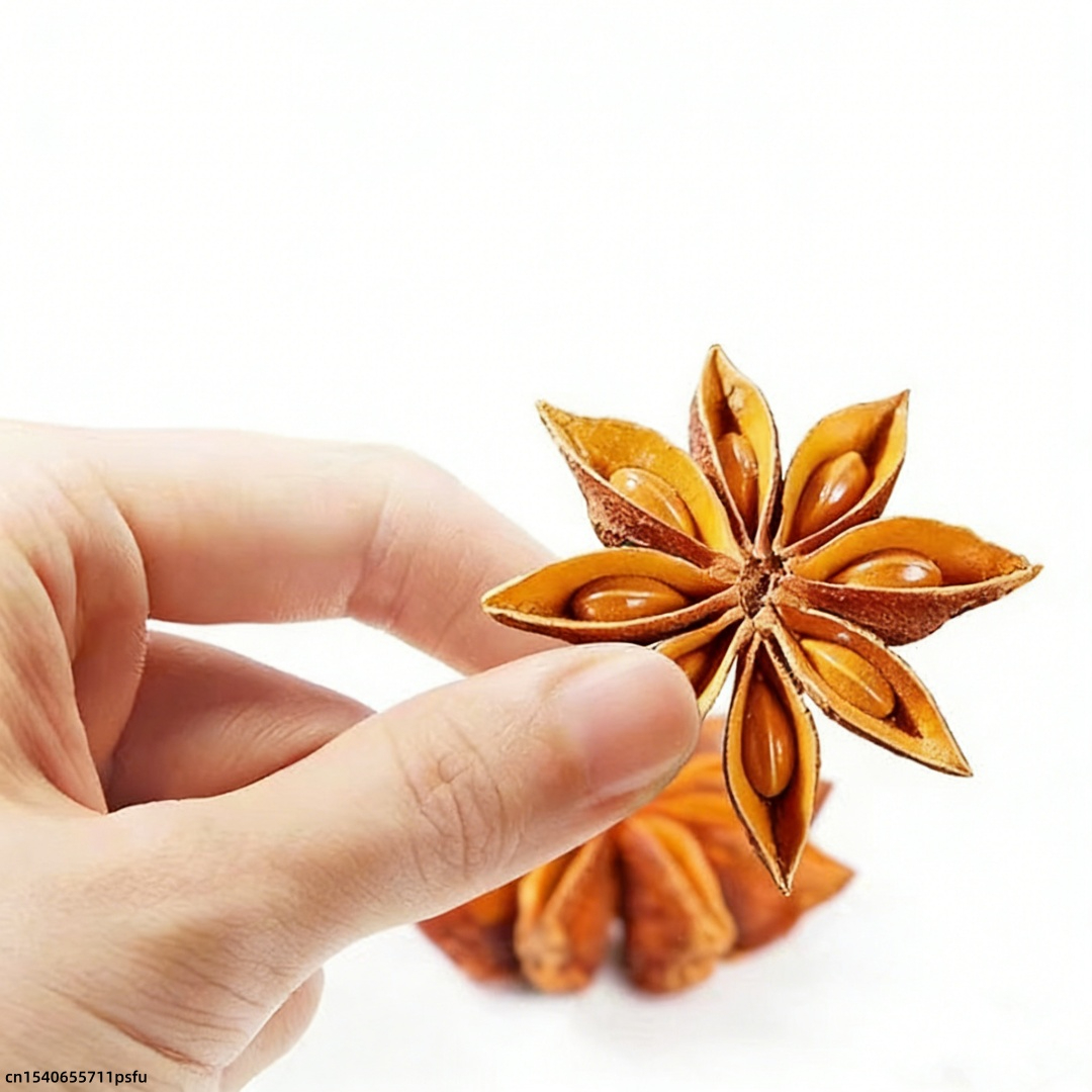 Premium Star Anise Dried Flowe – обзор и цена Candle Fragrance Supplies
